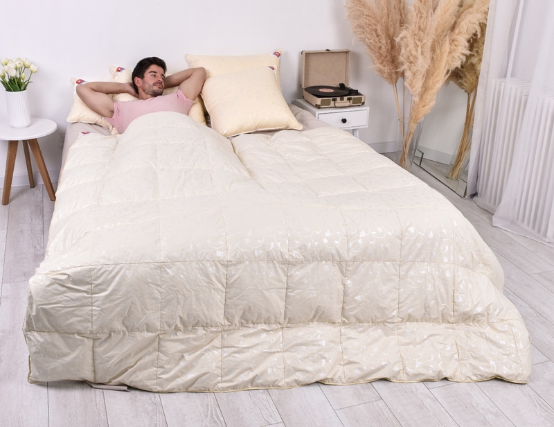 Одеяло Легкие Сны пуховое кассетное КАМЕЛИЯ шампань 172х205 теплое (вид 1) Одеяло Легкие Сны пуховое кассетное КАМЕЛИЯ шампань 172х205 теплое (фото, вид 1)