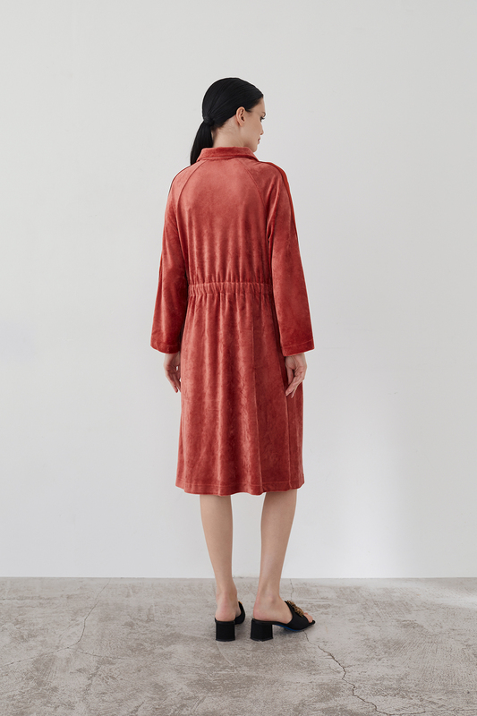 Laete     (20465-2) (,  9)