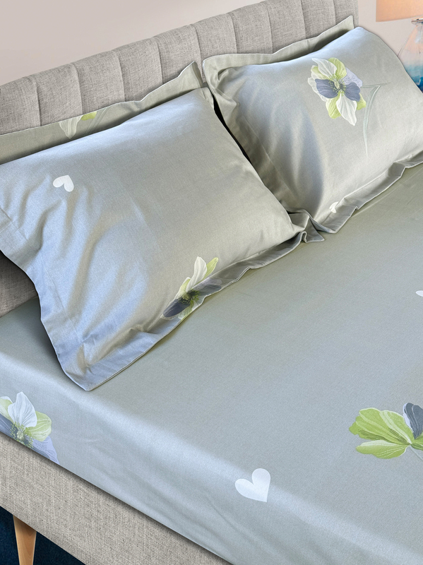 Tango ()  Tango Flannel 50x70 2 .