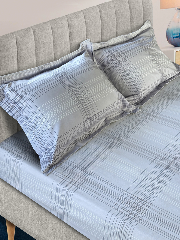 Tango ()  Tango Flannel  240x260