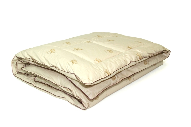 ������ ������ ������ ������ ���� ������ (����)