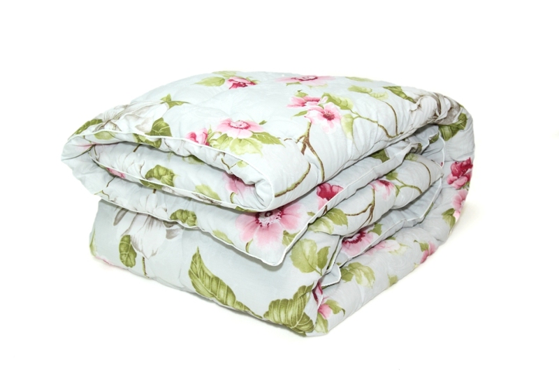 ������ ������ ������ ������ ������������, ������ (����)