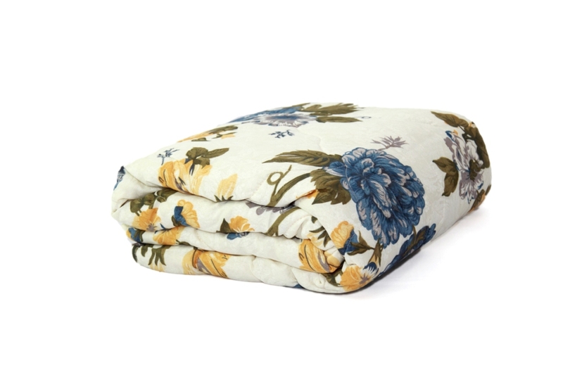 ������ ������ ����������� ����������� (����)