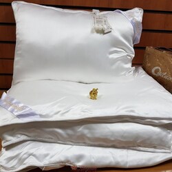 Kingsilk Kingsilk Luxury 200х220 всесезонное одеяло белое шелк в шелке 0,9 кг