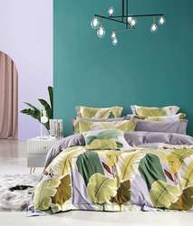 Cristelle ()  Cristelle Amante 1,5-