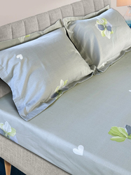 Tango ()  Tango Flannel  240x260
