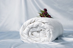 OnSilk   Comfort Premium 1,5 . / 140205