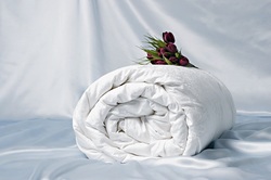 OnSilk   Comfort Premium 2-x  (-). Ҹ/